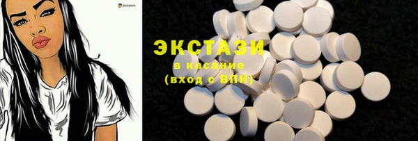 дживик Богородск