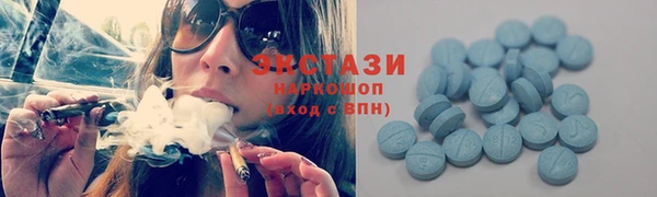 дживик Богородск