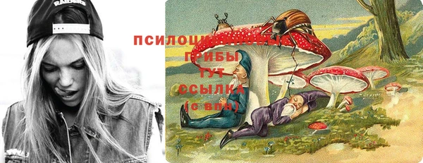 амфетамин Богородицк