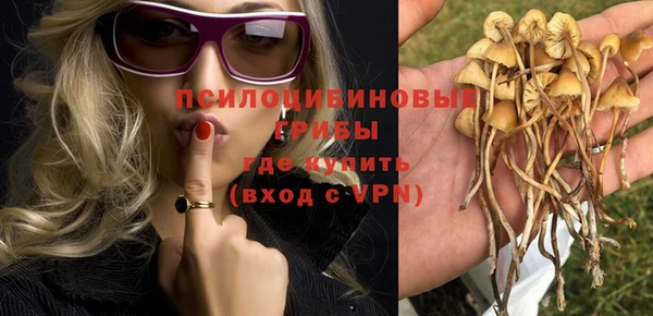 амфетамин Богородицк