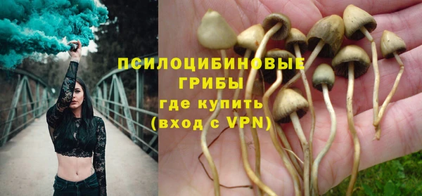 ешки Богданович