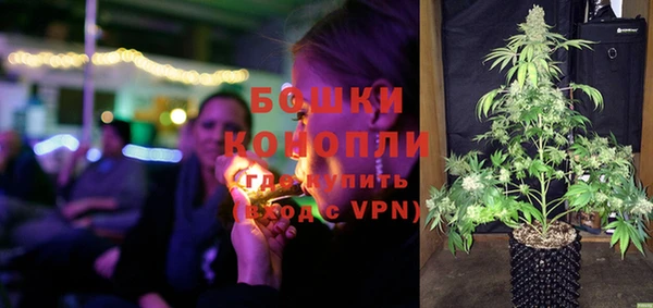 дживик Богородск