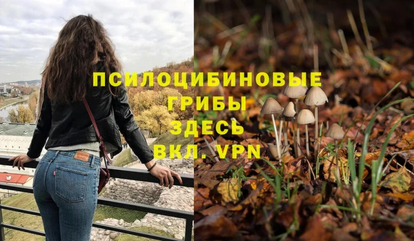 дживик Богородск