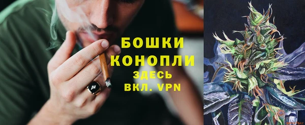 ешки Богданович