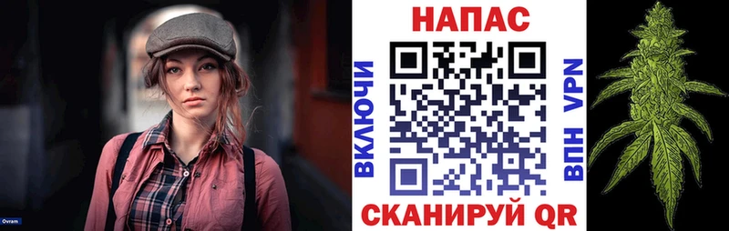 Бошки марихуана сатива  где купить наркоту  Меленки 